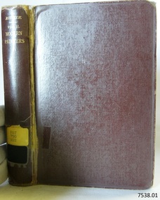 Book, Modern Painters Vol 2