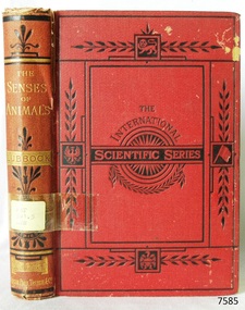 Book, The International Scientific Series Vol 65