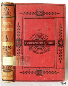 Book, The International Scientific Series Vol 19