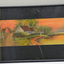 Landscape view of cottage beside lake, framed and behind glass