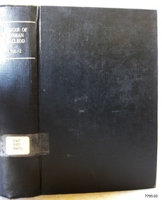 Book, Memoir of Norman MacLeod Vol 2