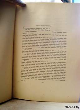 Red print title with black print on rest of page