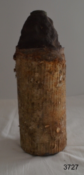 Encrustations are on the shell's surface
