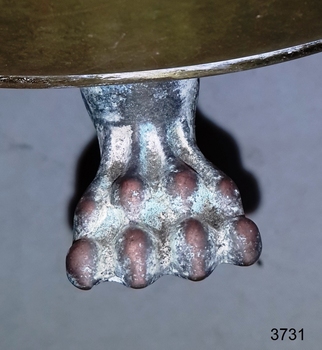 Close-up of a clawed foot with eight toes