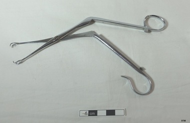  Stainless steel angled forceps with claw shaped ends. One handle is open circle, handles clip together.