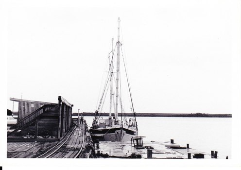 Photograph, REGINALD M's stern, with shrouds and masts