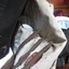 Stays are fitted into the lining to strengthen the shape of the jacket