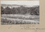 Image of bridge, taken from the back of the Warrnambool cemetery to the Hopkins River  mouth