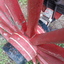 Decorative white stripes on the red painted hub
