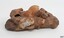 Pipe bowls and portions of stems are visible in the conglomeration