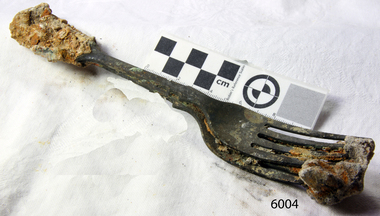 Domestic object - Forks, circa 1878