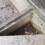 In the centre of the back wall there appears to be the remains of a metal fitting. 