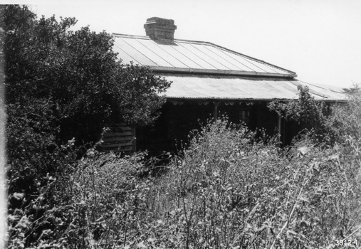 Black and white photograph. Building has short chimney in the top centre of the corrugated iron roof. Veranda with corrugated iron roof is built across the building, supported by square posts. Left end of veranda has a screen. Centre of veranda shows a multi paned window on the wall. Right of veranda has a glimpse of the end being walled in. A scalloped edge hangs below the veranda roof. Foreground has a tree on the left and tall vegetation across the photograph to the right.