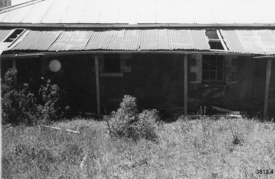 Close view of back of building. Tall chimney on left, corrugated iron roof on building and veranda, with two sheets missing from veranda, one on left the other on right. Two windows are clearly seen along the wall, each bordered by light coloured stone, and different sizes.  The stonework is cracked and some has been roughly repaired. The veranda guttering is falling away from the iron above the posts. The floor of the veranda has broken boards laying on it. Bushes and grass are in the foreground.