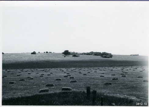 The building is facing downhill, with a line of trees on left and right between it and the paddock fence below. The crop in the paddock has been cut and the rectangular bails in rows on the ground. There is another building on the far right of the photograph with supports along the side at an angle.