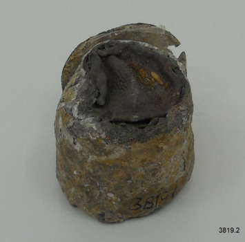 Bottle seal has black substance inside
