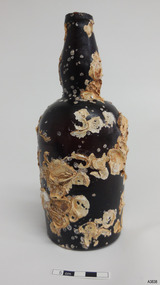 Bottle is covered with cream coloured barnacles