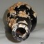 Mouth is cut or broken off. Barnacles are attached, and also attached inside mouth.