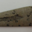 Row of six engraved inscriptions with letters and symbols