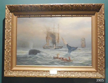 Painting has gilt, fancy frame. It depicts a scene of a whale hunt with sailing ship standing by in full sail.
