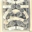 Images and text including Shires of Belfast, Portland and Warrnambool