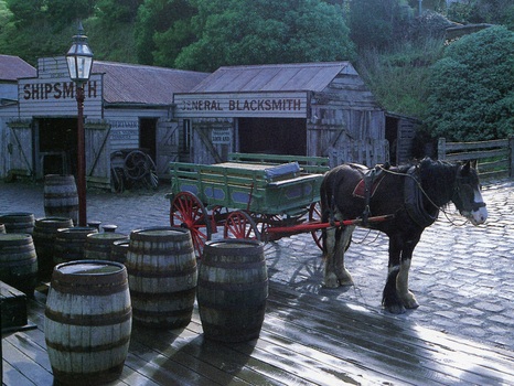 Duke the horse, hitched to the market wagon and awaiting work