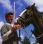 Farmer feeding horse, which has reigns on