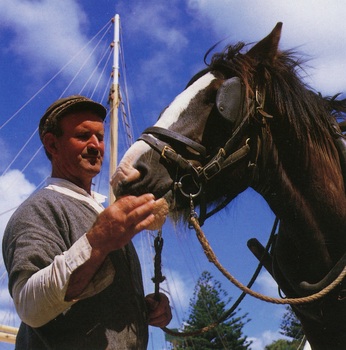 Farmer feeding horse, which has reigns on