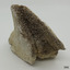 Piece of whalebone discoloured with age, and showing deterioration of the bone.