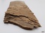 Paper on rough end shows the damage caused from being exposed to sea water