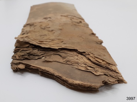 Paper on rough end shows the damage caused from being exposed to sea water