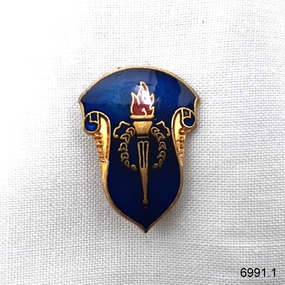 Gold and blue shield-shaped badge with a flaming torch symbol in the centre