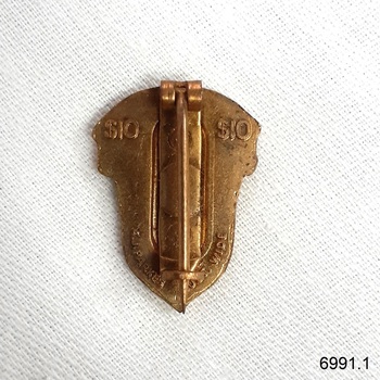 Surface is gold-coloured. It is embossed and has a vertical pin.