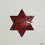 Badge is a six-pointed star, gold and red glitter enamel