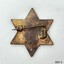 Back is all gold coloured, and has a horizontal pin. Inscriptions are embossed.