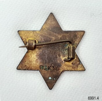 Back is all gold coloured, and has a horizontal pin. Inscriptions are embossed.