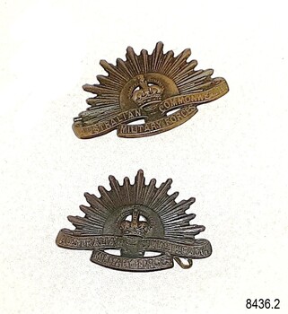 Tow metal badges of the same design