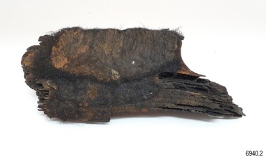 Wood has layers ans a scale-like effect with fur-like fibres at the base