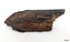 Surface has a charcoal appearance in places and the fur-like appearance at the base