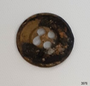 Round button, four holes, rim around the edge and the holes