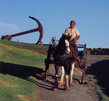 Pat was Duke's owner. Together they operated the market wagon rides and transportation of goods
