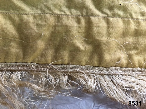Small back section showing edge of fringed tablecloth