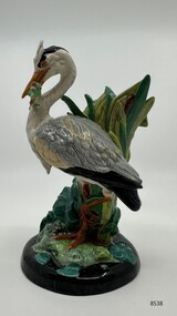 A miniature grey heron standing by bulrushes and holding a struggling fish in its beak with leaves and water lilies.