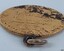 Base has recessed dark areas, worn edges are obvious, dark area where loop is inserted into the coin.