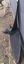 Propeller blades have curved sides and end, the base is fitted to the boss