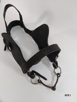 Leather horse bridle with blinkers and bit