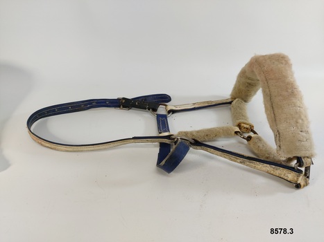 Blue and white horse halter with woollen padding on nose band