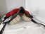 View of saddle showing padding, red metal strap holder, pommel and red and silver coloured leather scalloped trim