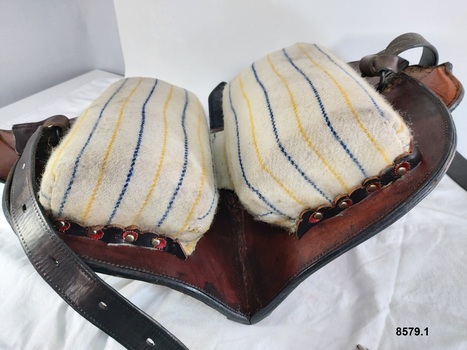 Underside of saddle