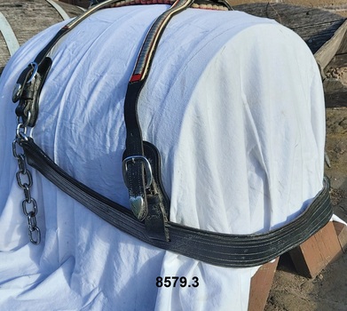 View of Breeching Straps belonging to a show harness showing details of stitching, buckles, chains and metal ornamentation